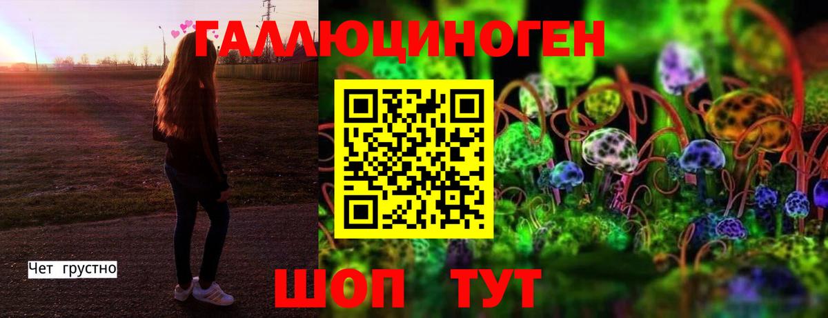 Псилоцибиновые грибы GOLDEN TEACHER  Вход с VPN  Лыткарино 